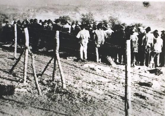 Jasenovac prisoners marched to thier death